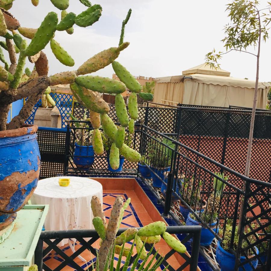 Almarkab Appartement